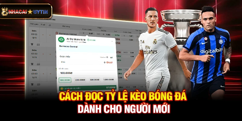 Tỷ Lệ Kèo Nhà Cái 3 Cách đọc tỷ lệ kèo bóng đá dành cho người mới
